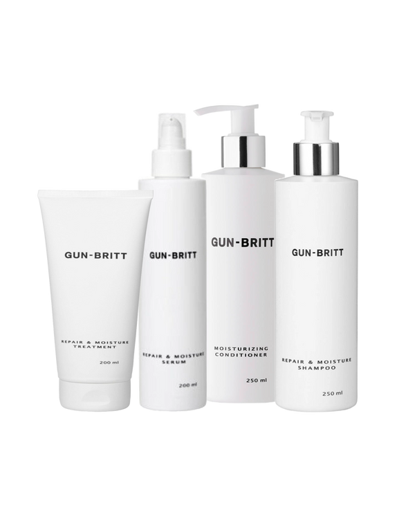 Gun-Britt Repair & Moisture Pack (4 produkter)